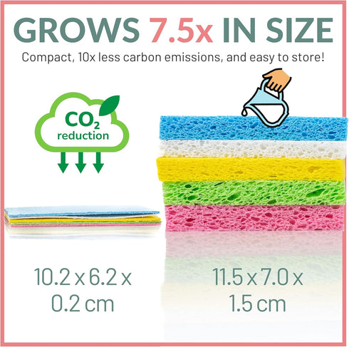 bioGo 30 Pack Compostable Pop-Up Sponges - Expanding, Non-Scratch, Plant-Based Dish Sponges by bioGo