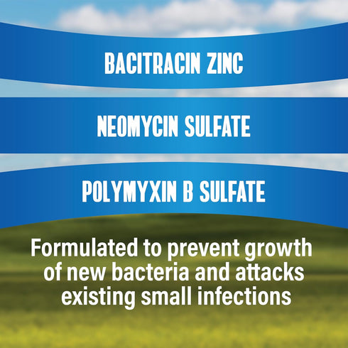 Natureplex Triple Antibiotic Ointment 0.33 oz – Contains Bacitracin for Wound Care, Scrapes, Cuts, Burns, Infections