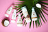 Live Clean Shampoo, Moisturizing Coconut Milk, 12 Oz