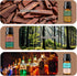 Set 6x10ML Gentlemen Fragrance Essential Oil - Sandalwood, Forest Pine, Bay Rum, Ocean Breeze, Coffee, Amber