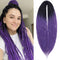 Leeven 24 Inch Synthetic Double Ended Dreadlock Extensions, Black to Purple Thin DE Dreads, 10 Strands Handmade for