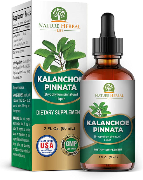 Nature Herbal Life Kalanchoe Pinnata (Bryophyllum Pinnatum), Glycerite, Dried Leaf and Stem Liquid Extract. Herbal