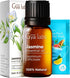Gya Labs Jasmine Essential Oil 0.17 Fl Oz for Diffuser & Aromatherapy - Natural Oil for Skin, Hair & Candle Making