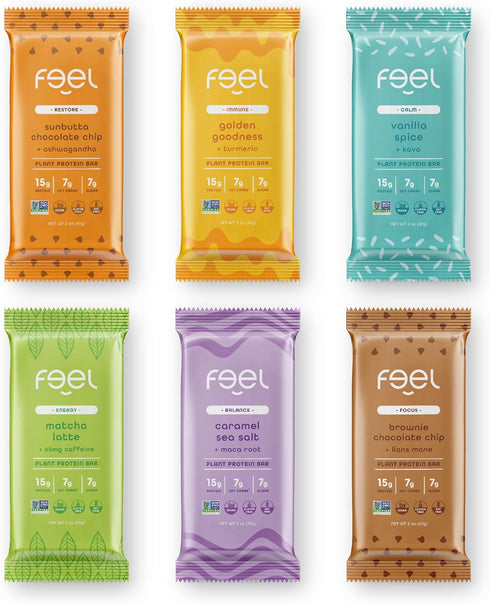 Feel Vegan Protein Bars: Keto, Gluten Free, Organic, 15g Protein, Low Sugar, Variety Pack (6 Pack)