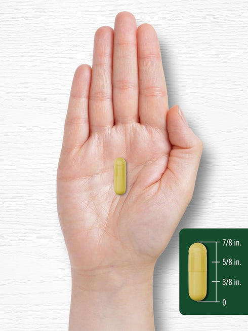 Carlyle Berberine Supplement 500,000mcg | 60 Capsules | Vegetarian, Non-GMO, Gluten Free Berberine HCL