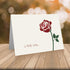 Little Notes by Comptime (12 Rose Note Cards Foldover Cards and Envelopes) Rose Thank You Cards