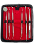 Premium Dental Tools, Professional Hygiene Cleaning Kit, Stainless Tooth Scraper, Plaque Remover, Set of 6 with CASE