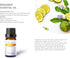 Set Pack 6, 10ml, Citrus Essential Oil - of Pure Therapeutic Grade Fruity Essential Oils includes Lemon, Grapefruit
