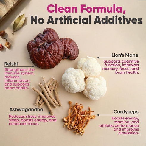 Gummies Gummies 90 E&H Farms Sleep Mushroom for Focus & Energy - Prebiotic & Functional Mushrooms with Lion's Mane