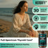 Immune 2 Oz, HERBIFY Sea Moss Multimineral Liquid Complex Thyroid Supplement with Irish Sea Moss - Lymphatic Drainage