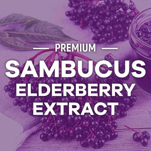 Sambucus Elderberry Immune Support Gummies - Elderberry Extract Gummy with Vitamins C, D3, Zinc, 60 Gummies
