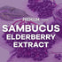 Sambucus Elderberry Immune Support Gummies - Elderberry Extract Gummy with Vitamins C, D3, Zinc, 60 Gummies