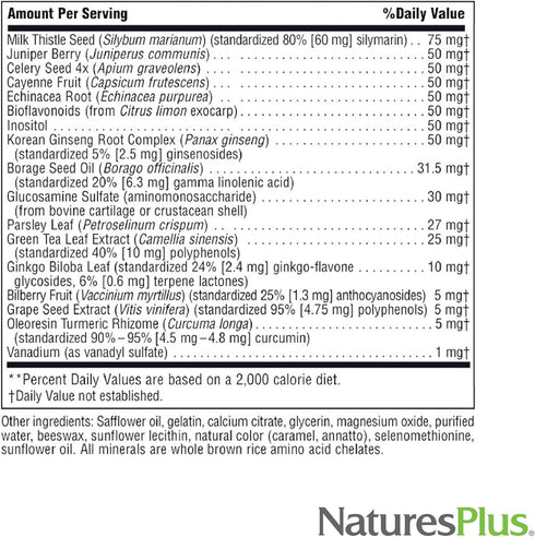 Natures Plus Regeneration Multivitamin - 90 Softgels with Potent Botanical Extracts, Minerals & Antioxidants -