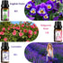 Floral Essential Oil Set - 6x10ml Aromatherapy Gift Kit for Diffuser, Humidifier, DIY Candle