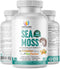 Organic Irish Sea Moss Pills, Wildcrafted Dr Sebi Inspired Seamoss Blend with Turmeric, Burdock Root & Bladderwrack