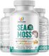 Organic Irish Sea Moss Pills, Wildcrafted Dr Sebi Inspired Seamoss Blend with Turmeric, Burdock Root & Bladderwrack