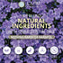 White Lavender All Purpose Cleaner Spray, Essential Oils Surface & Glass Cleaner, 23 oz