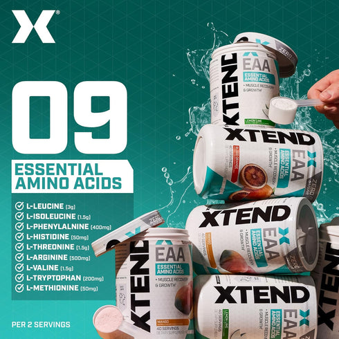 XTEND EAA + BCAA Powder - Muscle Recovery & Lean Muscle Growth with 9 Essential Amino Acids, Lemon Lime (40 Servings)