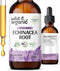 Echinacea Drops - Organic Tincture, Echinacea Root Supplement, Vegan, Alcohol Free - 2 fl oz