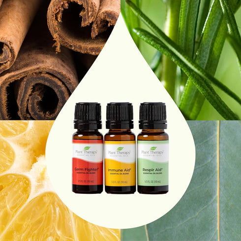 Plant Therapy Wellness Sampler Essential Oil Set, 100% Pure Oils: Germ Fighter, Immune Aid & Respir Aid