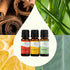 Plant Therapy Wellness Sampler Essential Oil Set, 100% Pure Oils: Germ Fighter, Immune Aid & Respir Aid