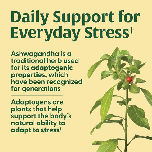 MegaFood Ashwagandha Complex, Vegetarian Cortisol Supplement with Astragalus Root & Holy Basil, 60 Mini Tablets
