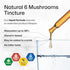 BIO KRAUTER 6-in-1 Mushrooms Supplement - Liquid Extract of Lions Mane, Shiitake, Turkey Tail, Cordyceps, Reishi &