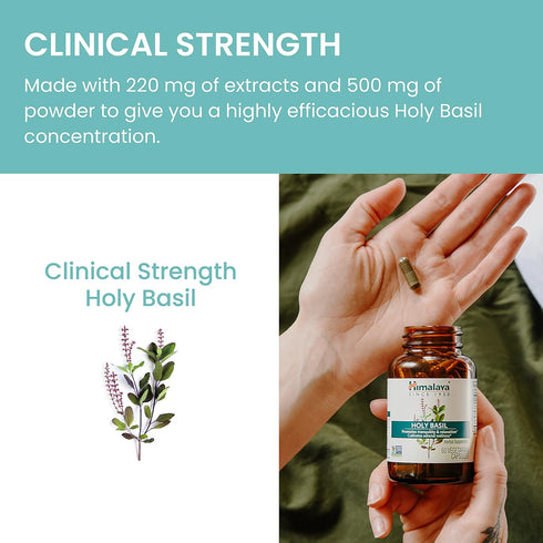 Himalaya Holy Basil Tulsi Herbal Supplement, 720 mg, 60 Capsules, 2 Pack, Stress Relief, Vegan, Ayurvedic