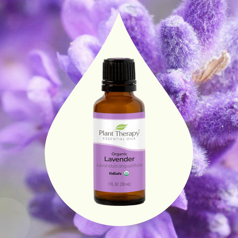 Plant Therapy Organic Lavender Essential Oil, 100% Pure, 30 mL, USDA Certified Organic