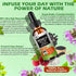 Vita letuo Immune,Digestive Organic Oil of Oregano with Black Seed Oil, Oregano Oil Liquid Drops w/Garlic Olive Leaf