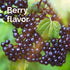 Emergen-C Elderberry Fizzy Drink Mix, 18 Count, Elderberry Immune Support, Natural Flavors, High Potency Vitamin C