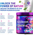 Mushroom Supplement Powder - 11 in 1 Complex Nootropic & Adaptogens Blend, Organic Mushrooms, 60 Servings