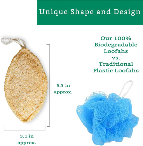 Natural Loofah Exfoliating Sponge (4 Pack) - Biodegradable Organic Loofah Sponge for Shower, Exfoliating Body Scrubber