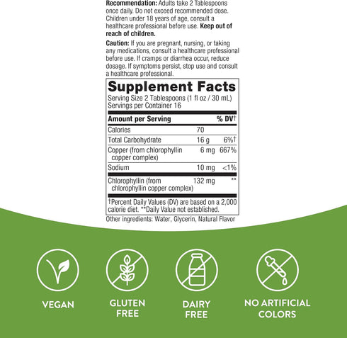 Nature's Way Chlorofresh Liquid Chlorophyll - 16 Fl. Oz Mint Flavored for Skin & Body Detox Support