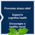 Life Extension Optimized Ashwagandha | 60 Capsules | Vegetarian, Gluten-Free, Non-GMO Stress Management Supplement