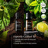 Gya Labs Ylang Ylang Essential Oil & Bergamot Essential Oil - 10ml - 2-in-1 Pack