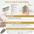 YTD Likomey Gel Nail Polish, 15ml Sage Green Soak Off UV Varnish, Spring Summer Grey Green DIY Nail Art Gel