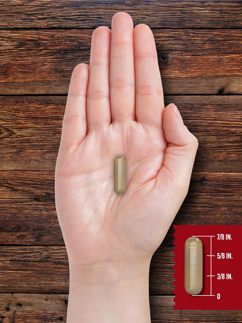 Carlyle Grass Fed Beef Organ Complex | 200 Capsules | Pasture Raised, Grain Free Supplement with Desiccated Liver,