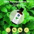 Spearmint Essential Oil 30ml/1 oz - 100% Pure Undiluted for Aromatherapy