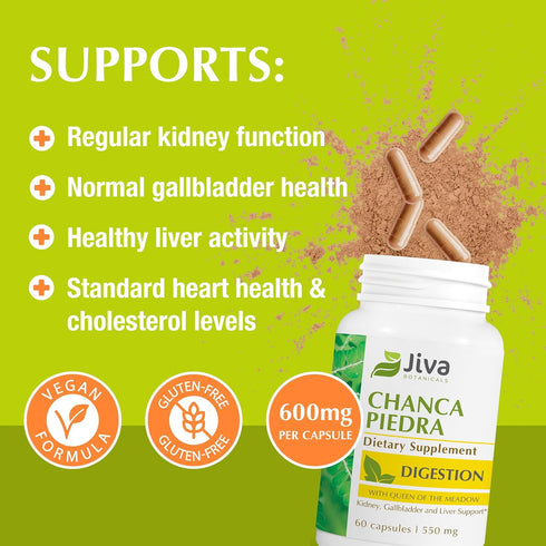 Jiva Botanicals Chanca Piedra Supplement - 550 mg per Serving, 500mg Extract with 50mg Queen of The Meadow, 2 Months