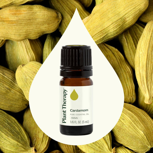 Plant Therapy Cardamom Essential Oil – 5 mL (1/6 oz) 100% Pure, Undiluted, Therapeutic Grade