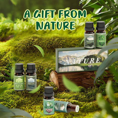 SALUBRITO Essential Oils Set, Nature Fragrance Oils Set - Forest Pine, Ocean Breeze, Rain, Fresh Cut Grass, Mountain Air, Bamboo, Premium Scented Oil for Diffuser, Candle, Soap Making