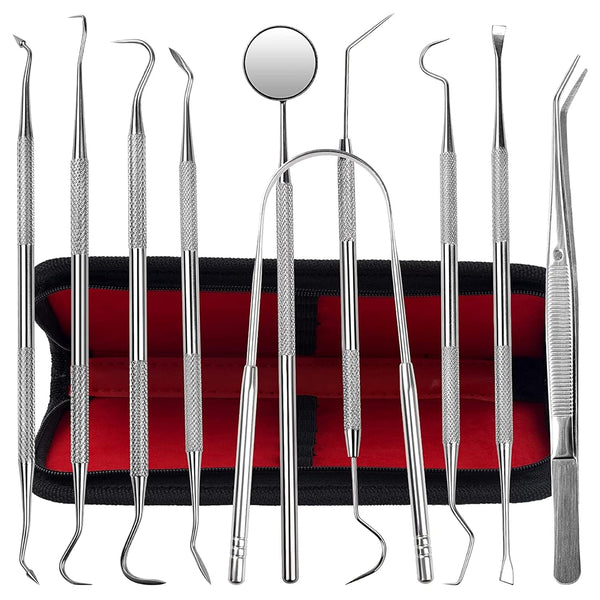 Dental Kit Tools, 10 Pack Stainless Steel Plaque Remover, Oral Care Kit with Plaque Cleaner and Scrapers
