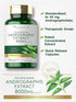 Carlyle Andrographis Paniculata Capsules | 8000 mg | 90 Count | Gluten Free & Non-GMO Supplement
