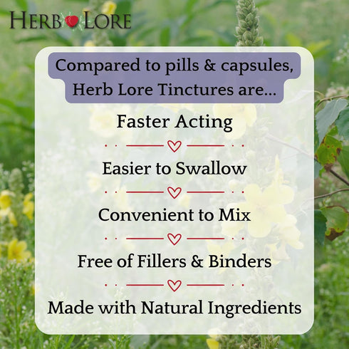 Herb Lore 2 oz Mullein Tincture - Organic Mullein Drops for Lungs - Alcohol Free - fl