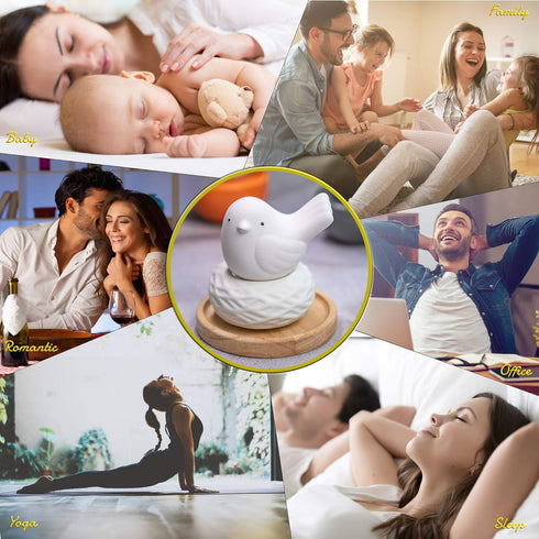 Little Bird Nest White Ceramic Diffusers for Essential Oils and Aromatherapy Fragrance, Non-Electric for Car or Bathroom