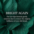 Silk Plant Cleaner Spray No Wipe, Silk Flower Cleaner Cleaner, Removes Dust & Restores Fresh Natural Look, Easy Spray