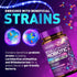 80 Billion CFU Probiotic - Daily Digestive Supplement for Men & Women, Non-GMO, Gluten & Dairy Free, 60 Capsules