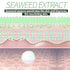 Seaweed Under Eye Masks - Moisturizing and Nourishing for Dark Circles, 30 Pairs with Collagen and Hyaluronic Acid