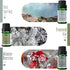 Set, MitFlor Winter & Woodland Fragrance Oils Creative Christmas Gift, Fragrance Oils for Diffuser, Candle & Soap